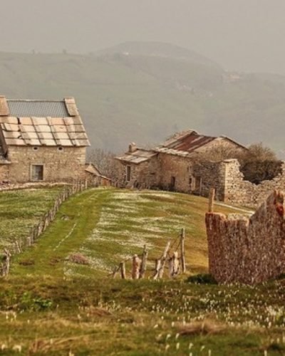 002406139-8191bf8b-e2c6-413d-add6-4c426d1f69c5