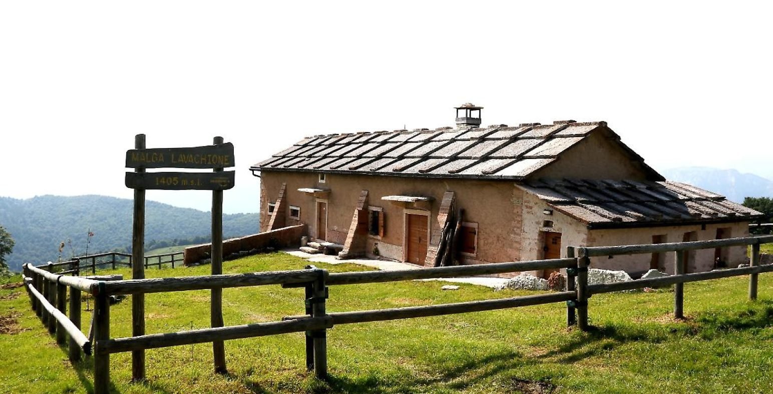 Malga_Lavacchione_-_1405_m_slm-1725087779714.jpg--le_malghe_della_lessinia__un_viaggio_tra_natura_e_gastronomia